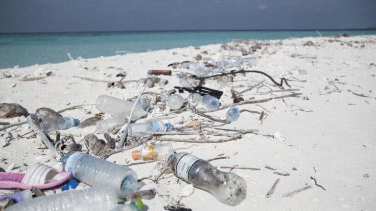 plastic trash on a beach